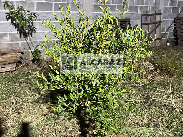 Terreno para Venda em Jacareí - 4