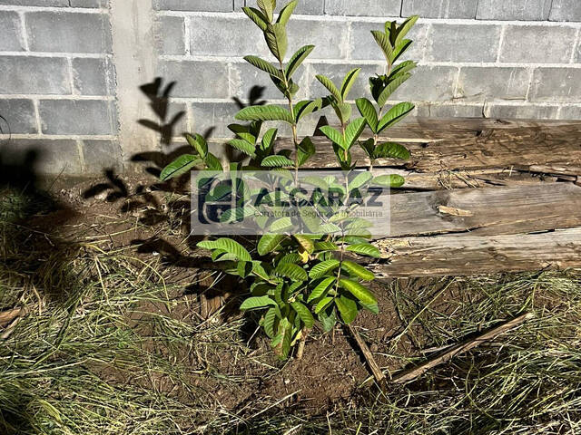 Terreno para Venda em Jacareí - 5
